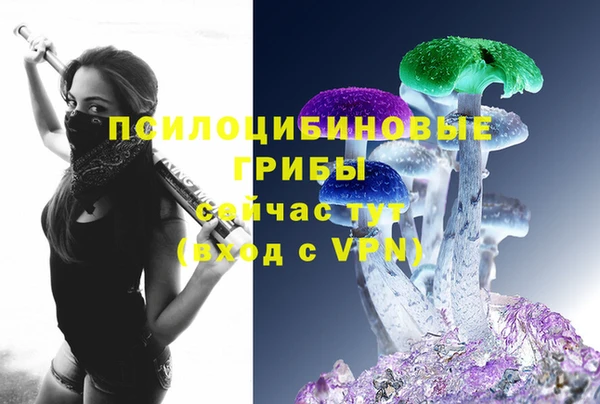 a pvp Алзамай